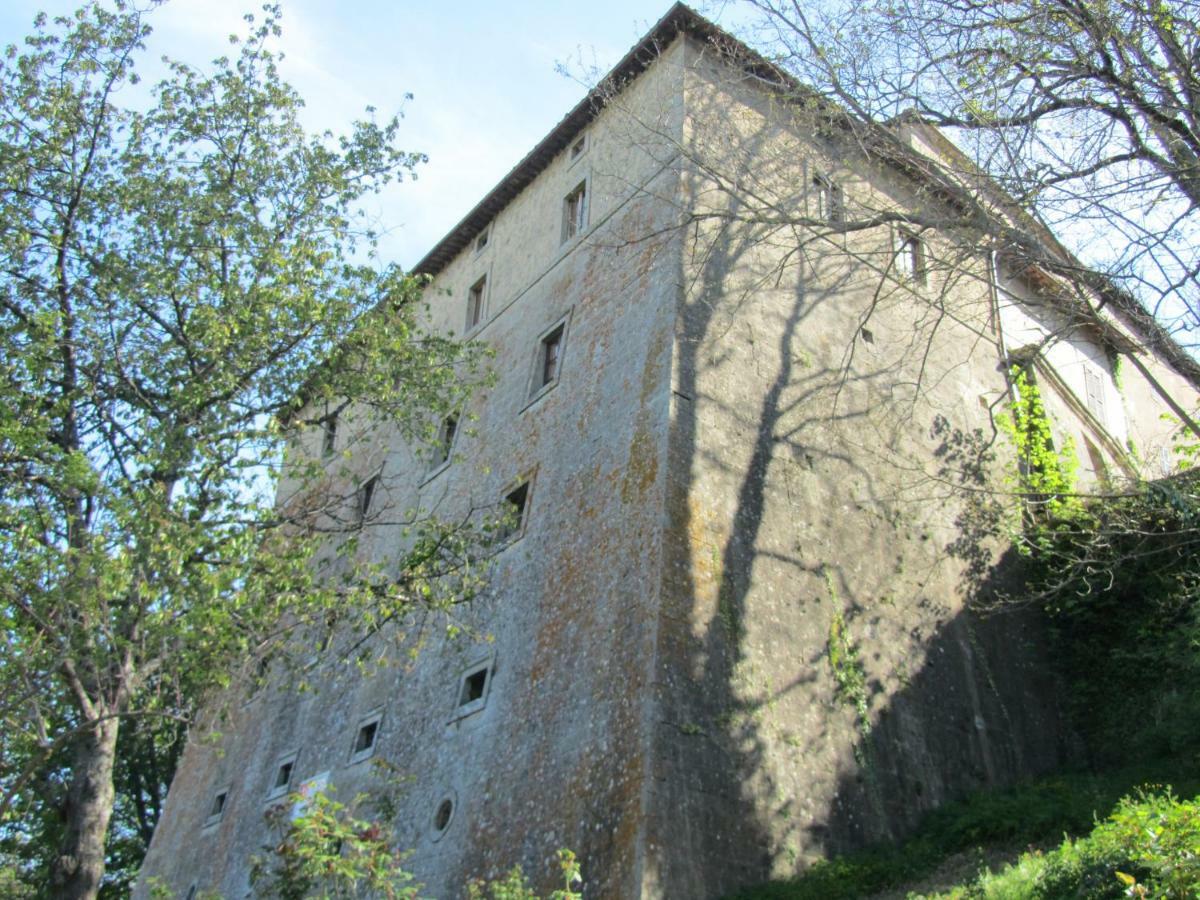 Casa Giuly Apartment Vivo d'Orcia Exterior photo