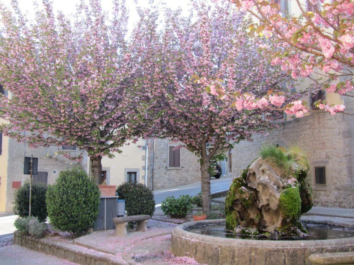 Casa Giuly Apartment Vivo d'Orcia Exterior photo