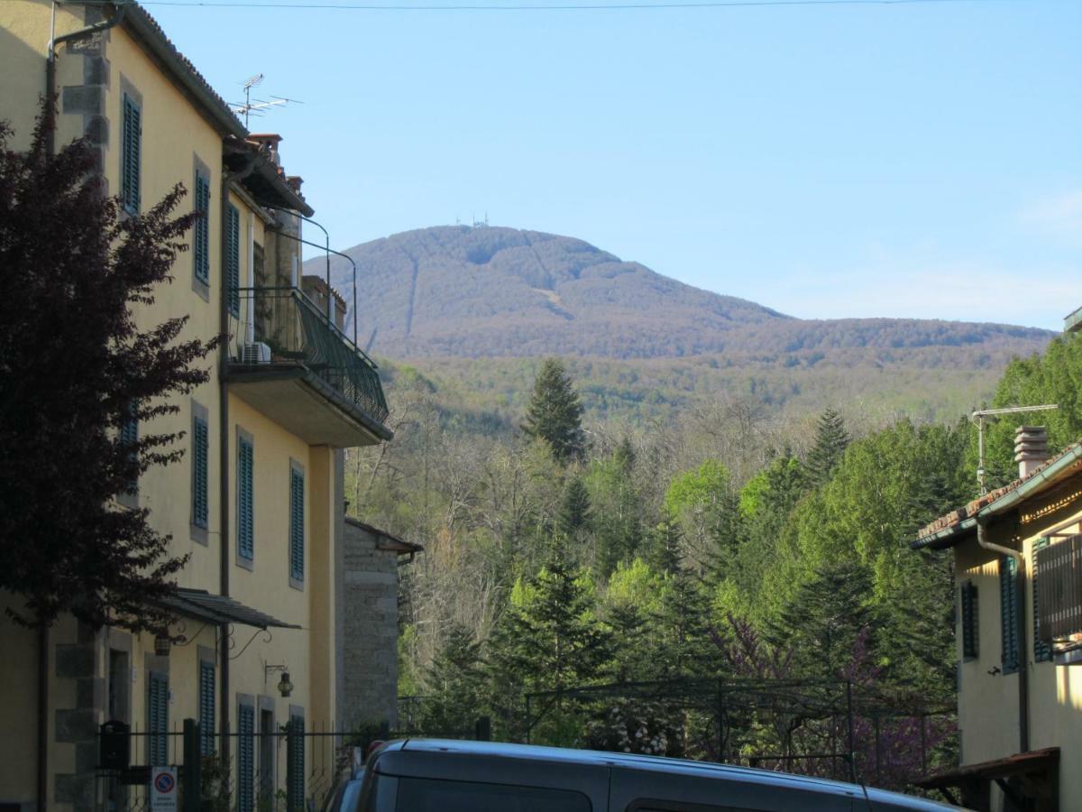 Casa Giuly Apartment Vivo d'Orcia Exterior photo